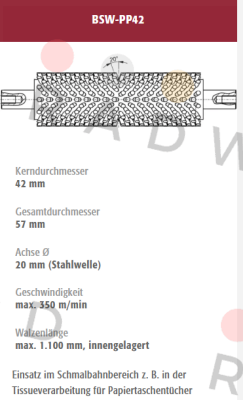 BSW-PP42-232176 old code / new code BSW-PP42-232176/1 Mink Bürsten