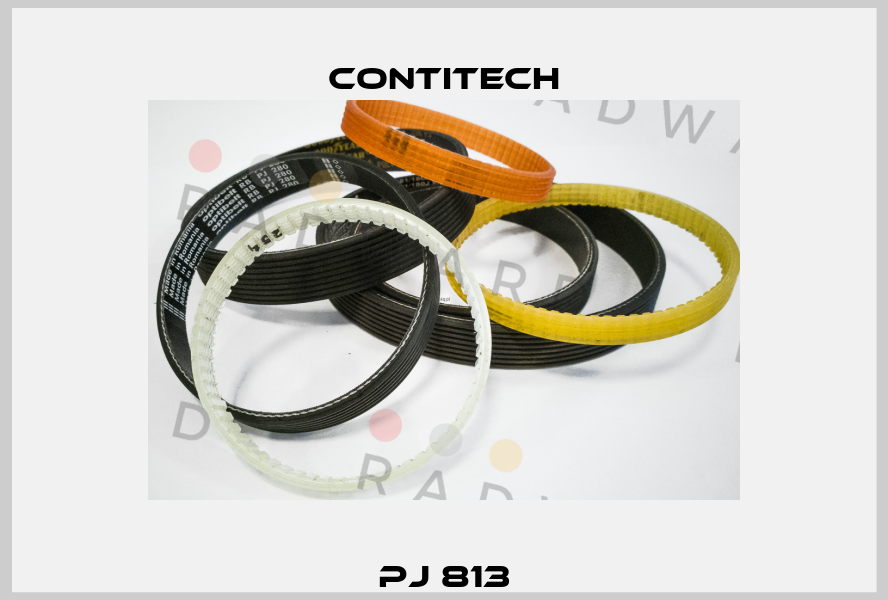 PJ 813 Contitech