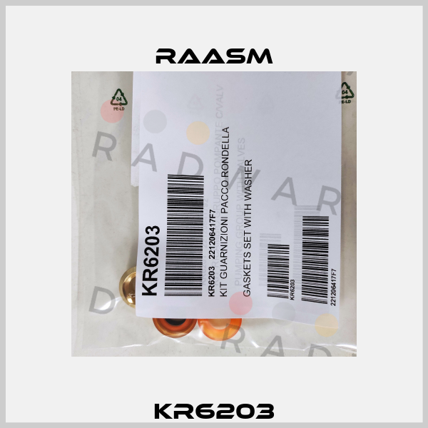 KR6203 Raasm