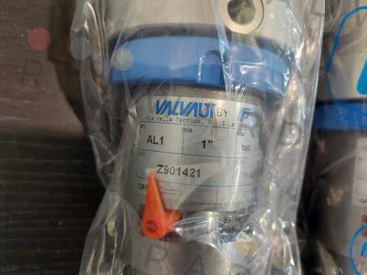 Z901421 Valvaut