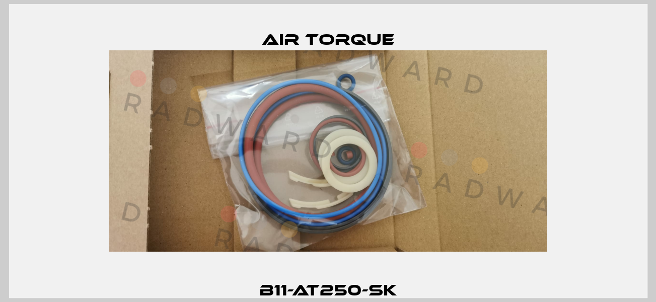 B11-AT250-SK seal kit for AT251US10 Air Torque