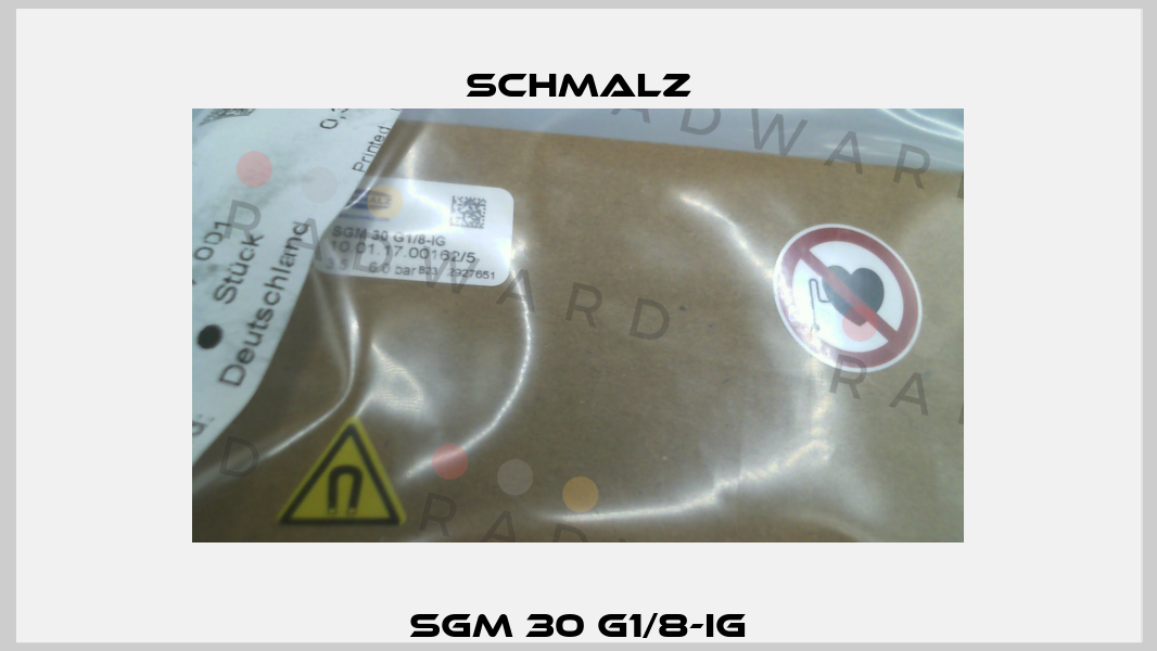SGM 30 G1/8-IG Schmalz
