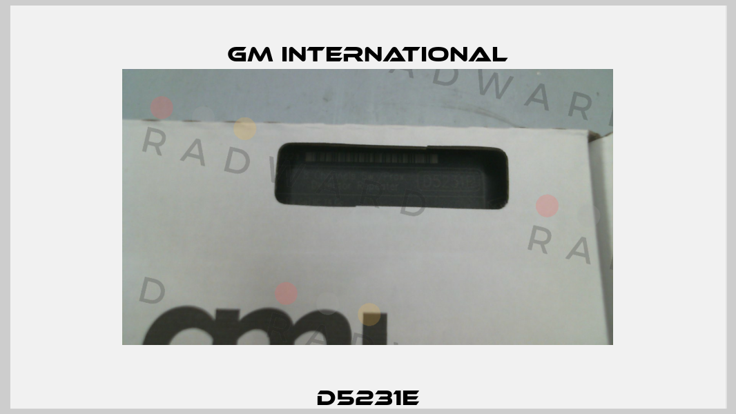 D5231E GM International