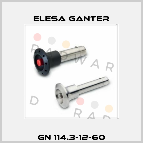 GN 114.3-12-60 Elesa Ganter