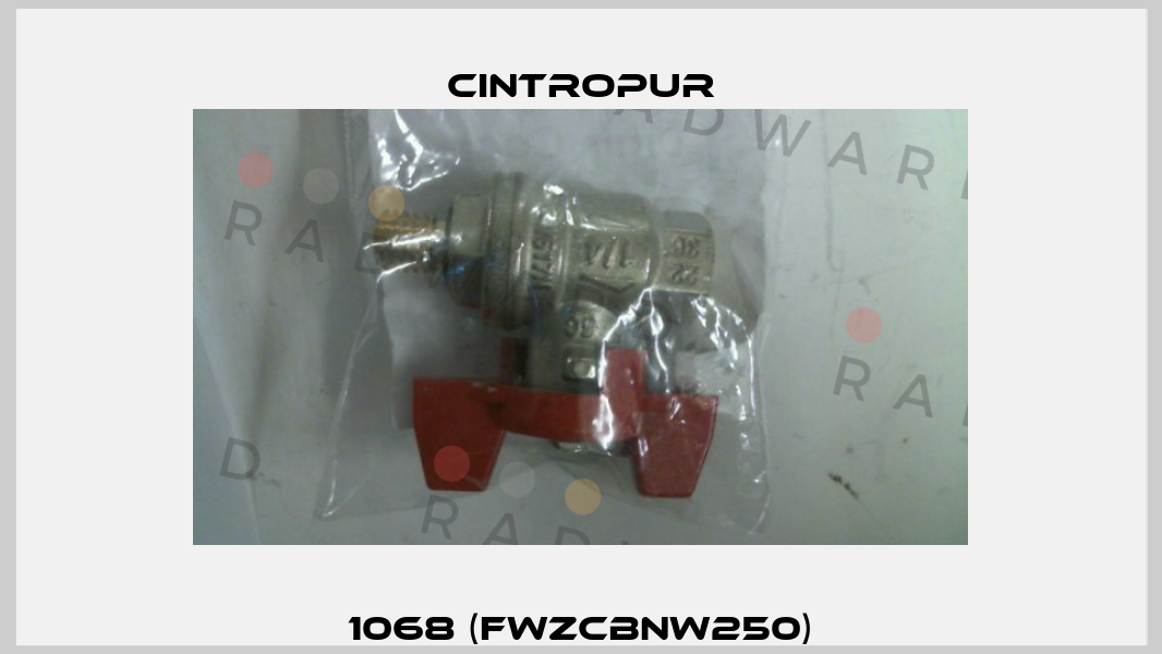 1068 (FWZCBNW250) Cintropur