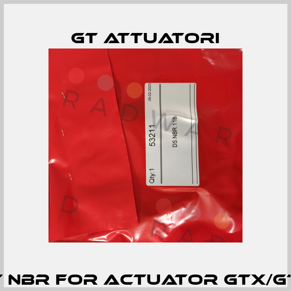 53211 (O-Ring set NBR for Actuator GTX/GTW.118) DS.NBR.118 GT Attuatori