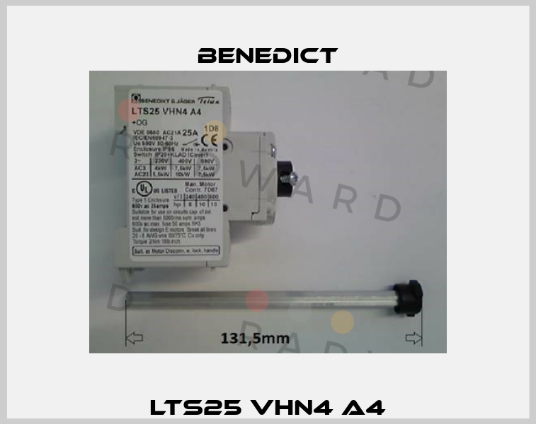 LTS25 VHN4 A4 Benedict