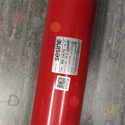 MS 134 P2 Sesino