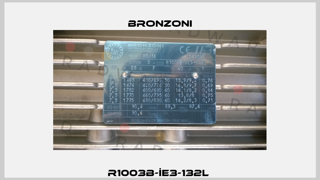 R1003B-İE3-132L  Bronzoni