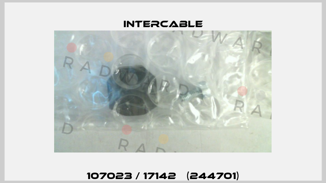 107023 / 17142   (244701) Intercable