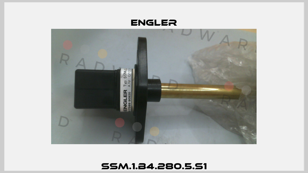 SSM.1.B4.280.5.S1 Engler