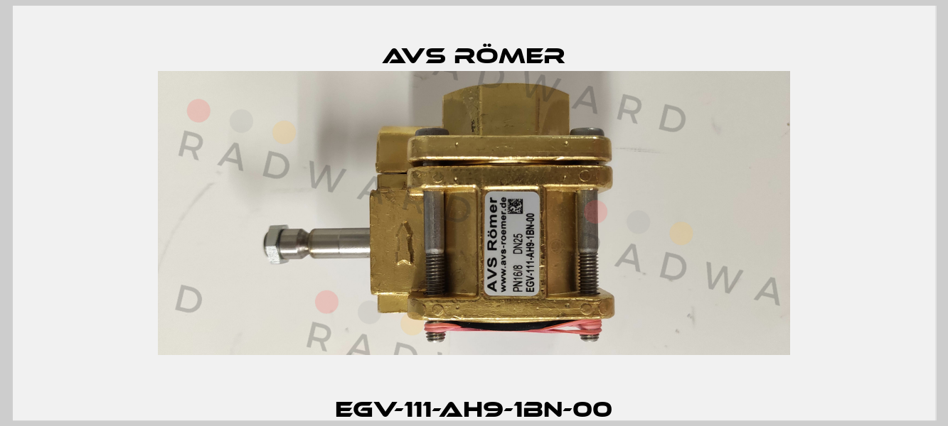 EGV-111-AH9-1BN-00 Avs Römer