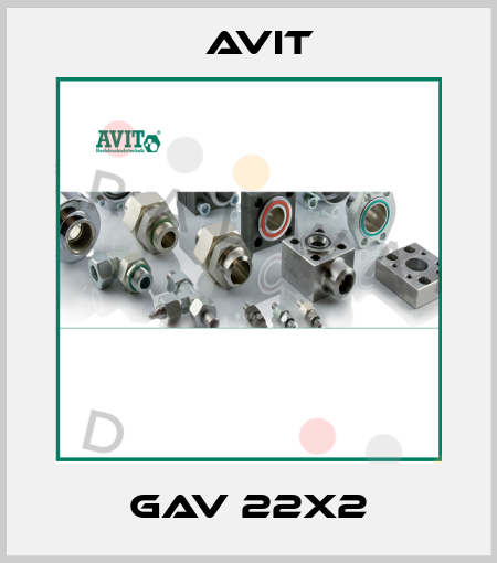 Gav 22x2 Avit
