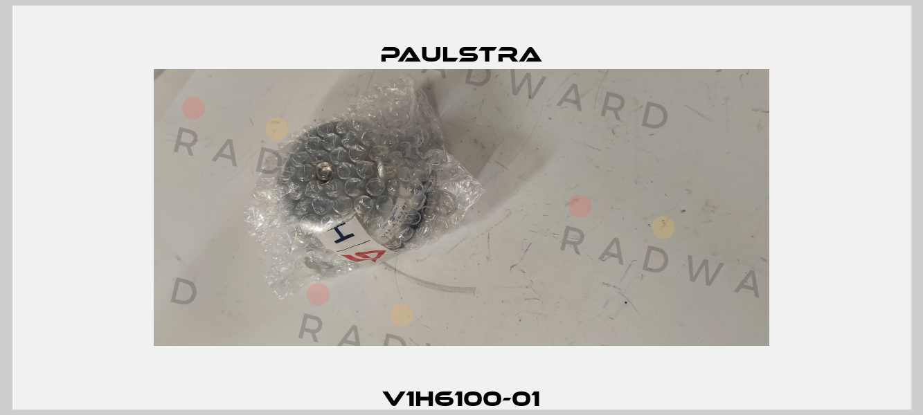V1H6100-01 Paulstra