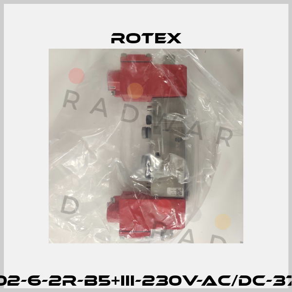 57450V02-6-2R-B5+III-230V-AC/DC-37-FR-H-01 Rotex