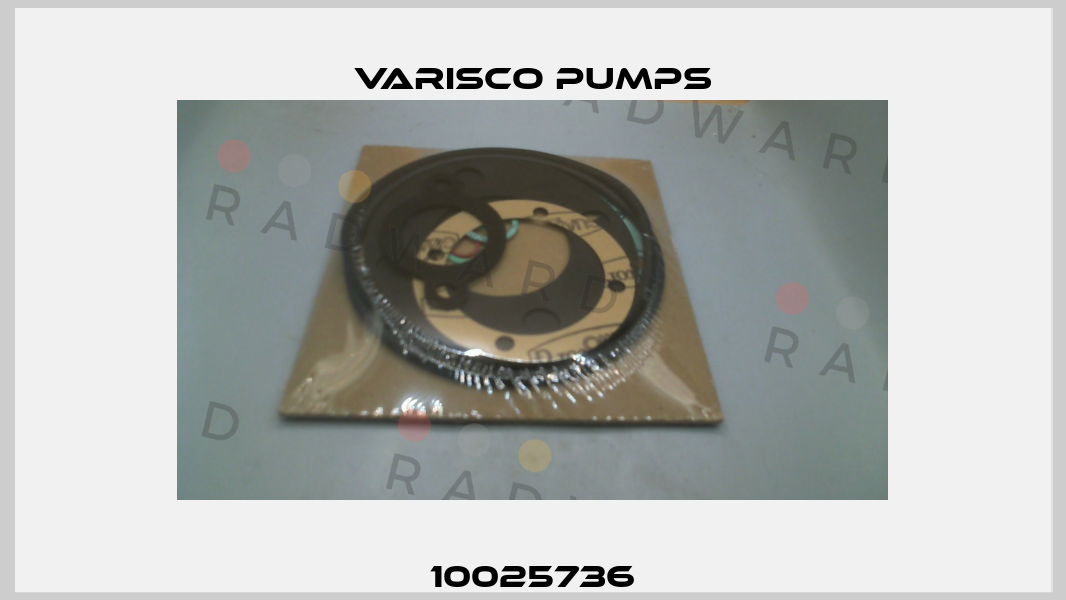 10025736 Varisco pumps