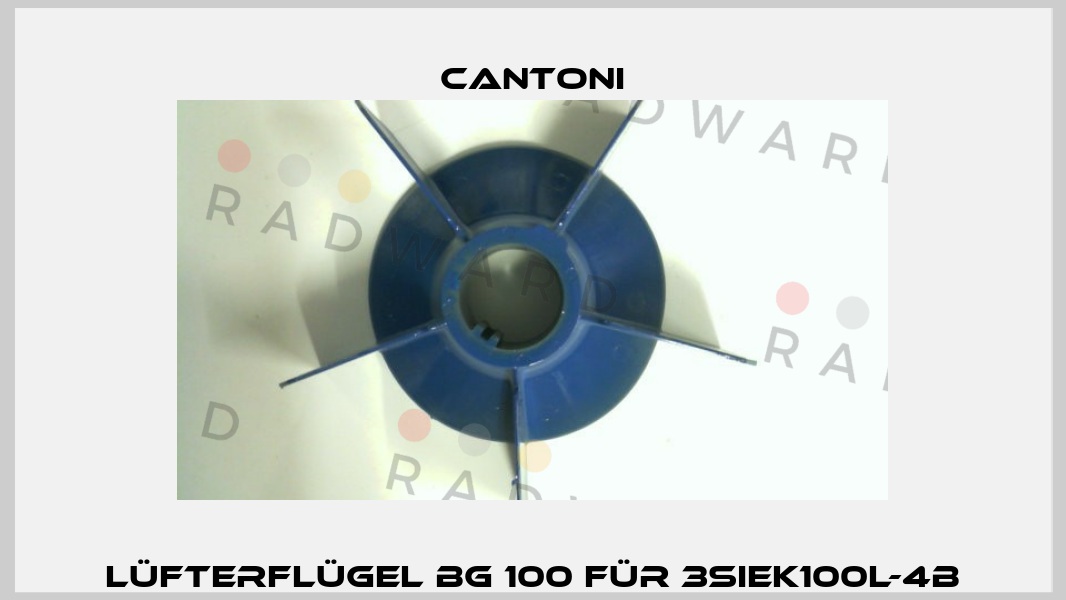 Lüfterflügel BG 100 für 3SIEK100L-4B Cantoni