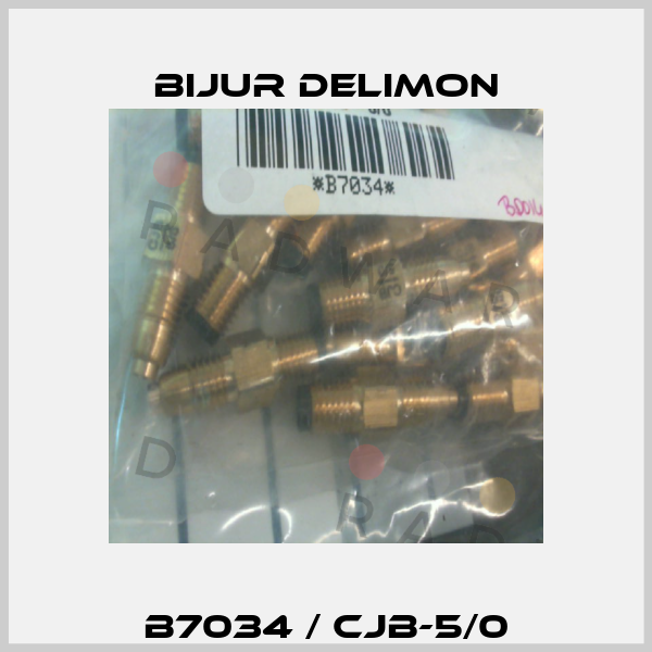 B7034 / CJB-5/0 Bijur Delimon