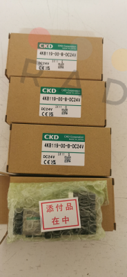 4KB119-00-B-DC24V Ckd